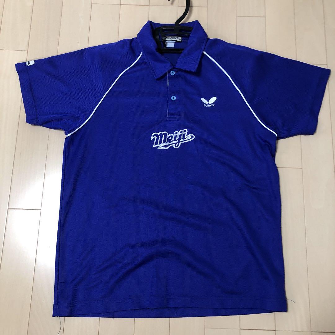 真作】掛軸 自然の幽玄を綴る力筆書 書 墨の響きが冴える一幅 合箱入 T142