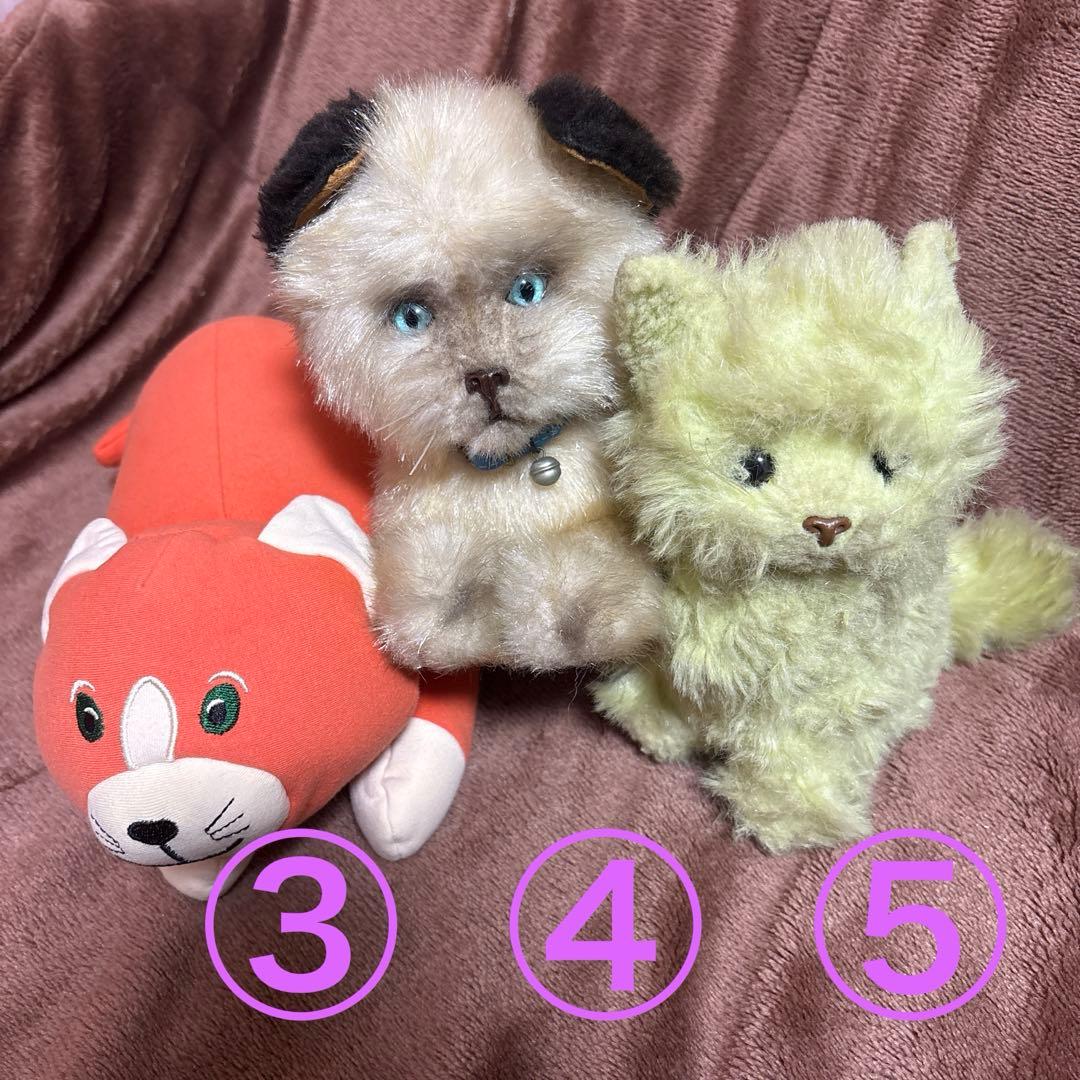 【大量】にゃんこだけ！ぬいぐるみセット【まとめ売り】