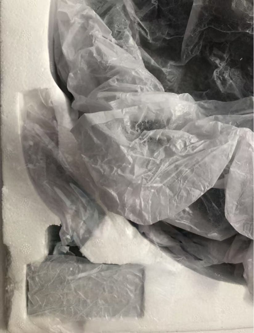 テラフォーマーズ Tsume アドルフ・セーヌラインハルトスタチューフィギュア