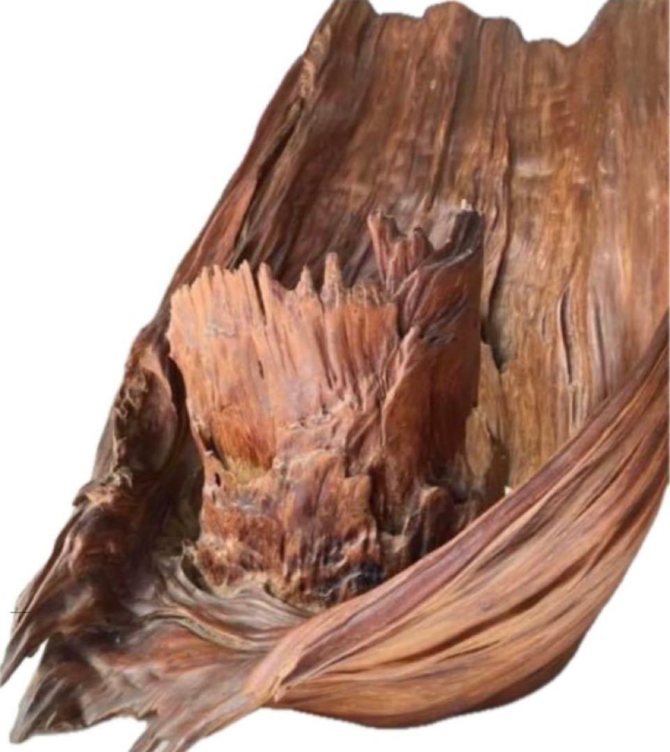 屋久杉台座屋久杉飾り台屋久杉工芸品置台屋久杉希少置き台世界遺産