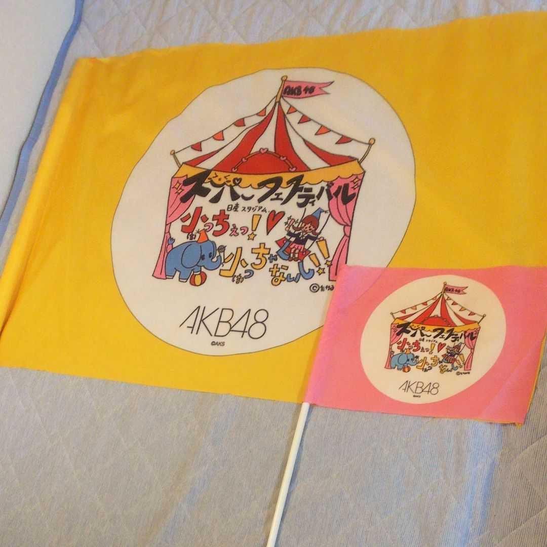 AKB48 日産スタジアム コンサート オープニングメンバー使用フラッグ 希少 AKB48 日産スタジアム コンサート オープニングメンバー使用フラッグ 希少