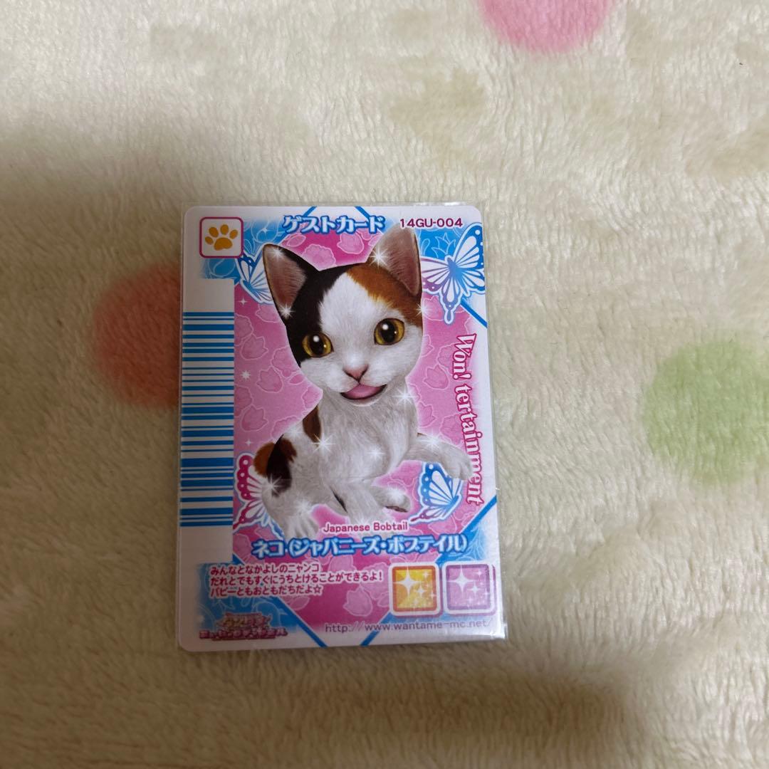 期間限定大幅値下げワンタメカード　ゲストカードネコ裏表カード