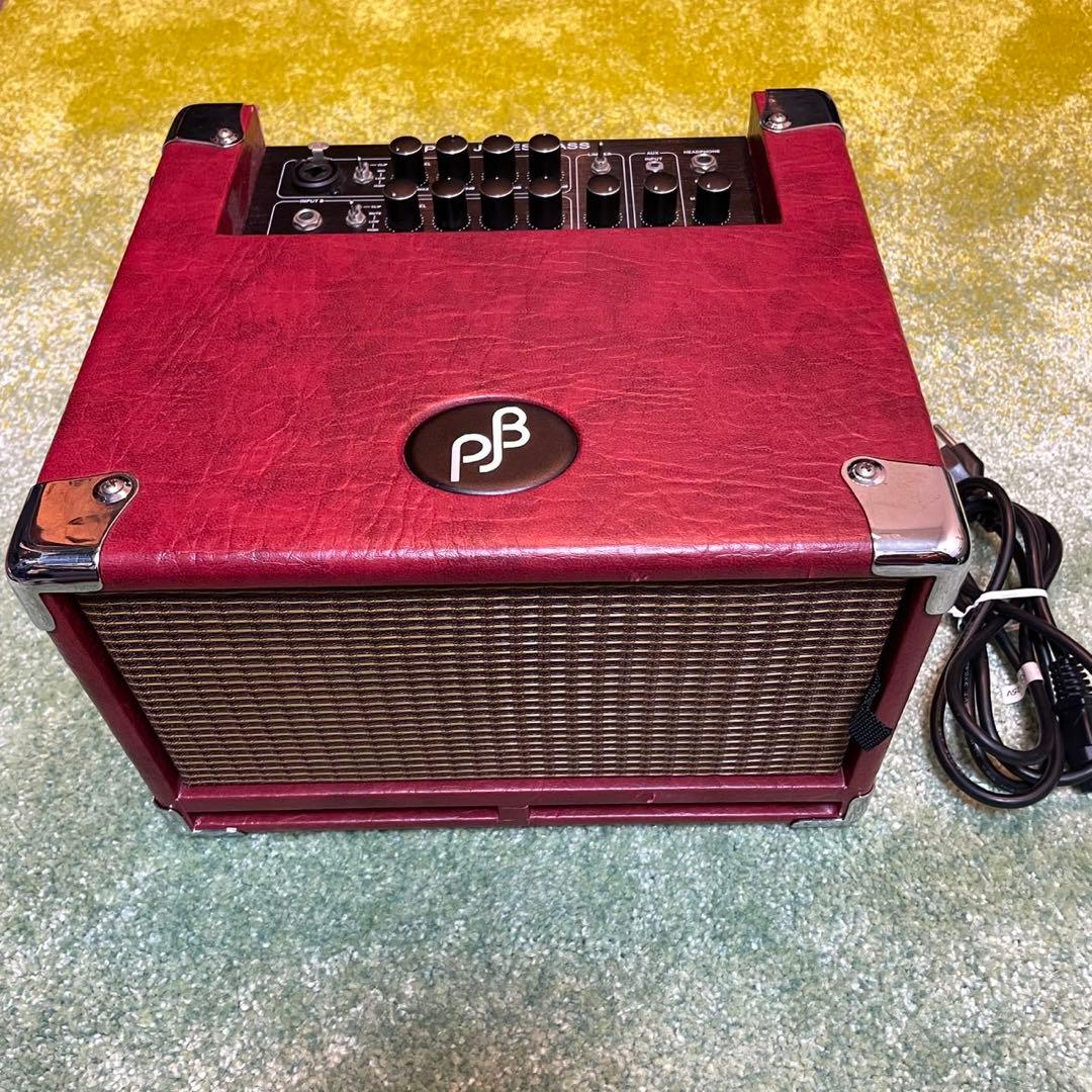 PHIL JONES BASS （フィル・ジョーンズ）BG-100 P: BG-100 Bass Combo Amp “Bass CUB” | Phil Jones Bass