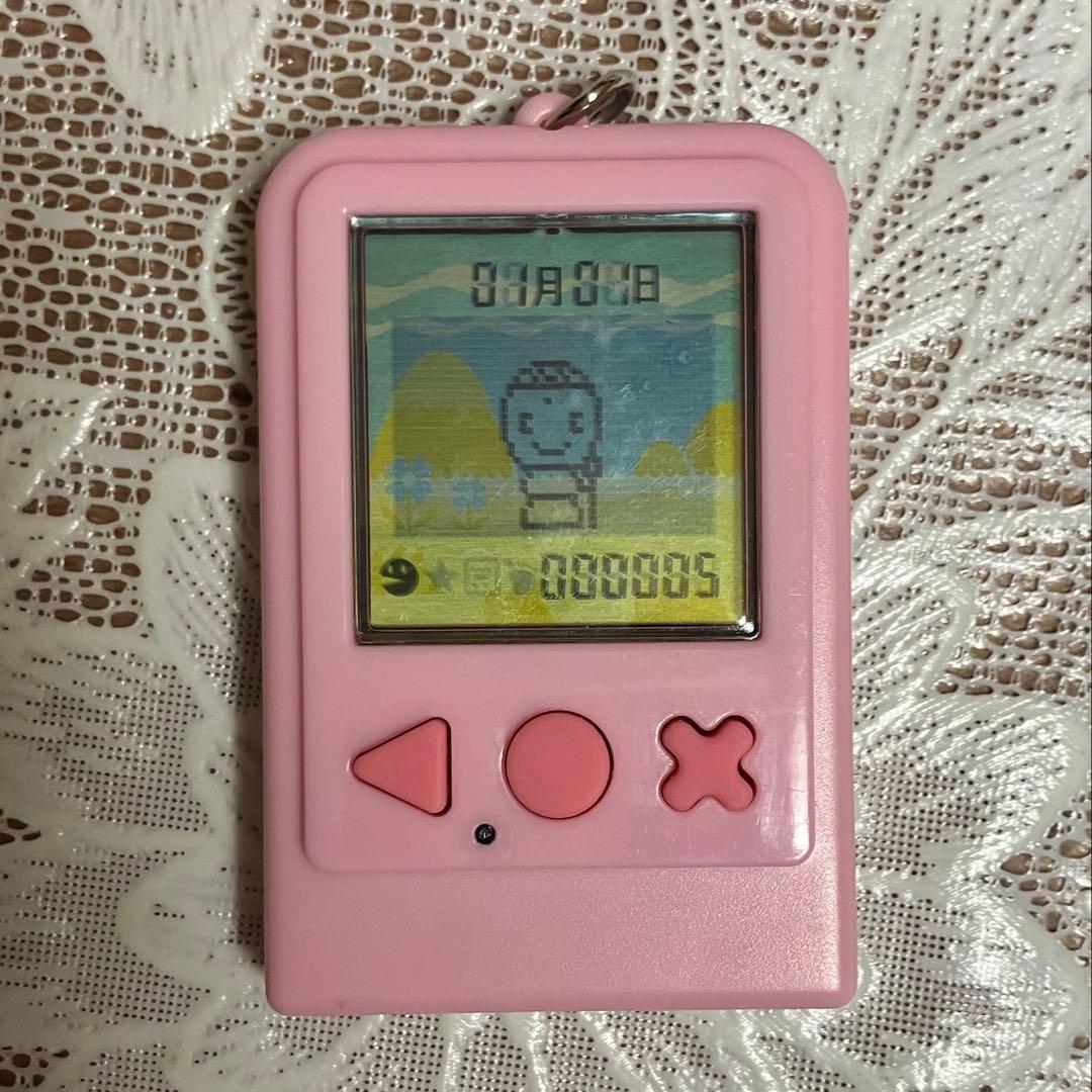 ちゃまもり　そらいろ　育成ゲーム　携帯ゲーム　エンスカイ　完動品　希少