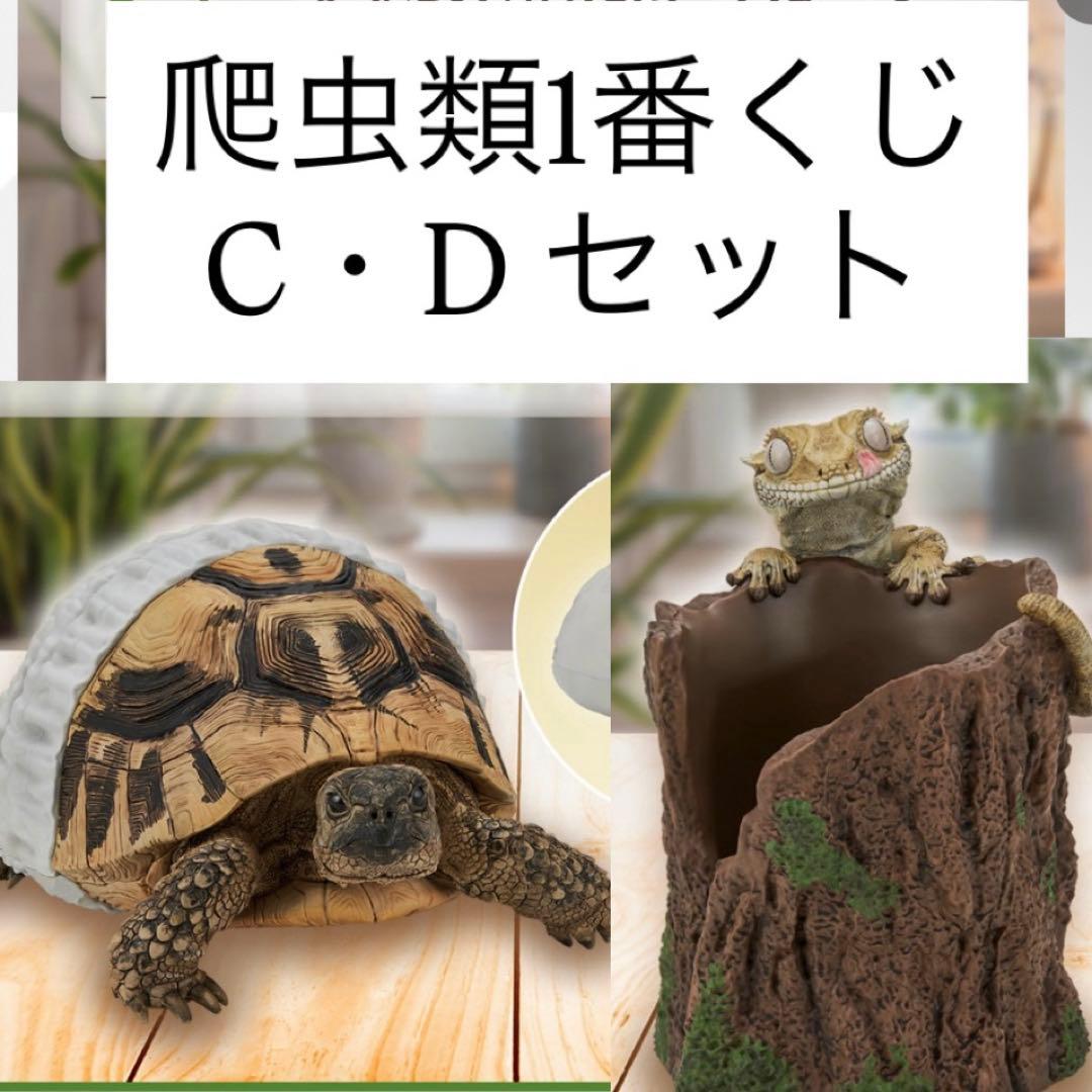 爬虫類1番くじ C・Dセット 爬虫類1番くじ C・Dセット 一番くじ 爬虫類＆両生類～Tiny Friends