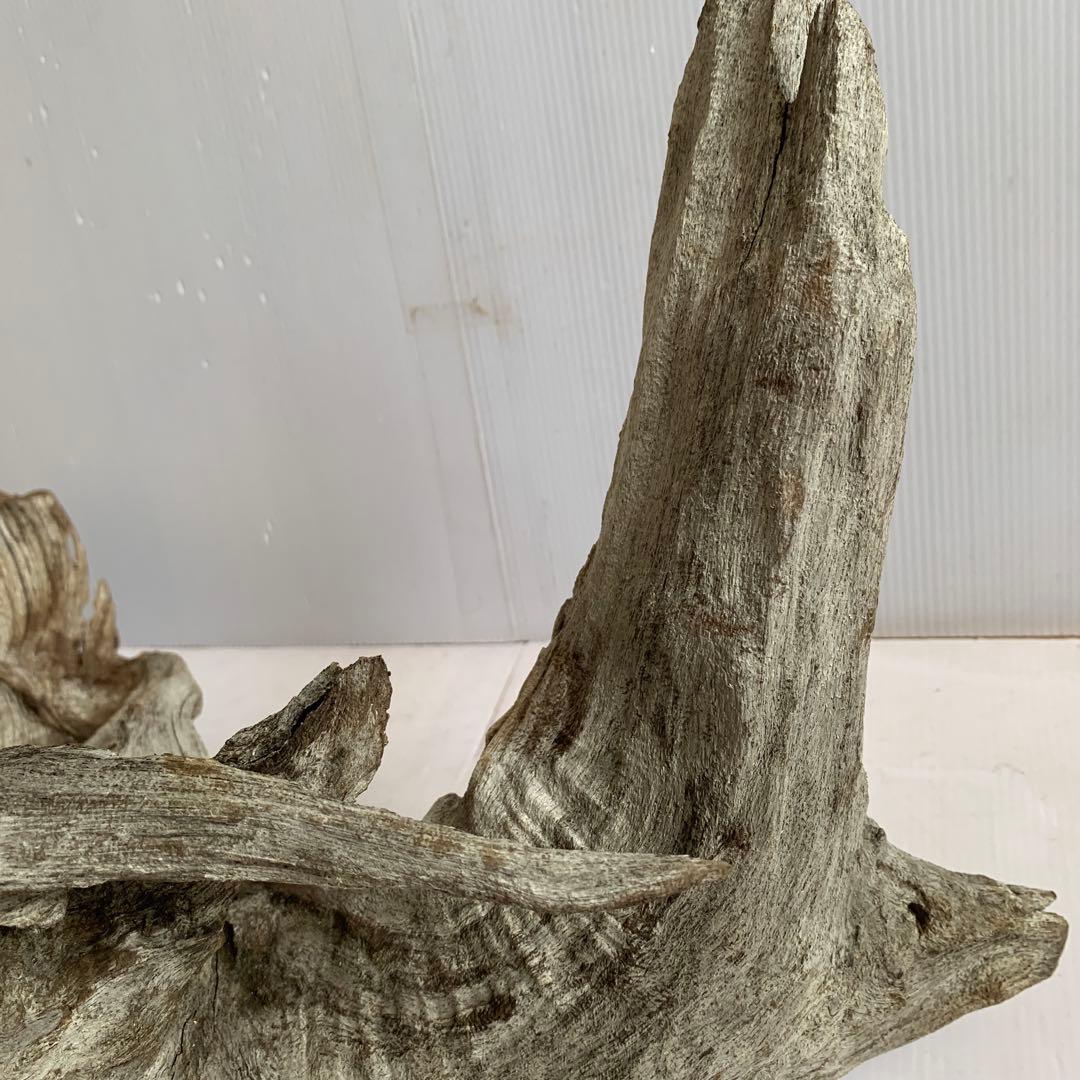 アク抜き済み 流木のおすすめ人気商品一覧 通販 - Yahoo!ショッピング