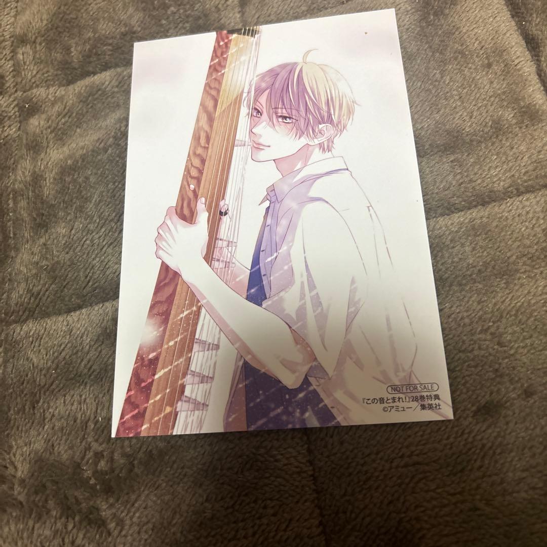 この音とまれ！ 1-33巻 アミュー 初版本多数 購入特典付 アニメ化