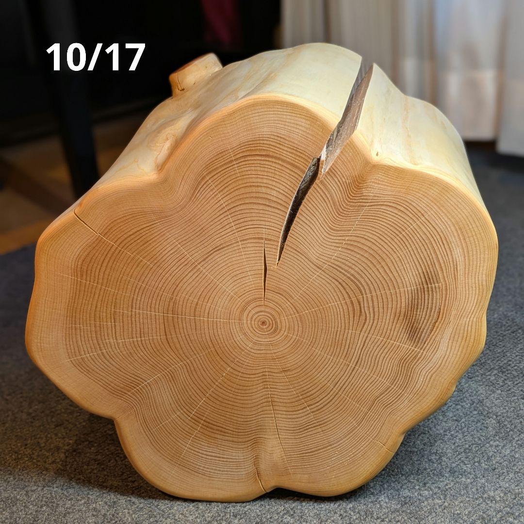 天然ヒバ　切り株　丸太　椅子　スツール　テーブル　高さ約28㎝