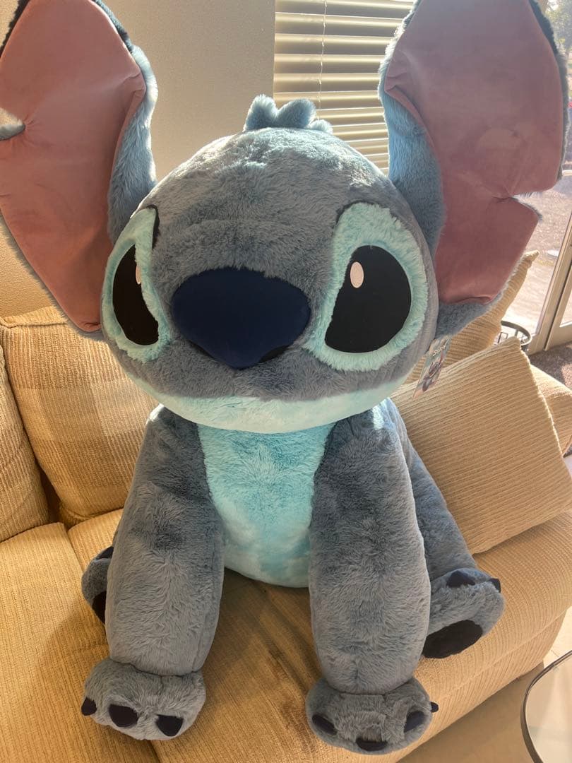 龍脈の精髄 国産ブラックルチル水晶クラスター売上一部保護猫活動に