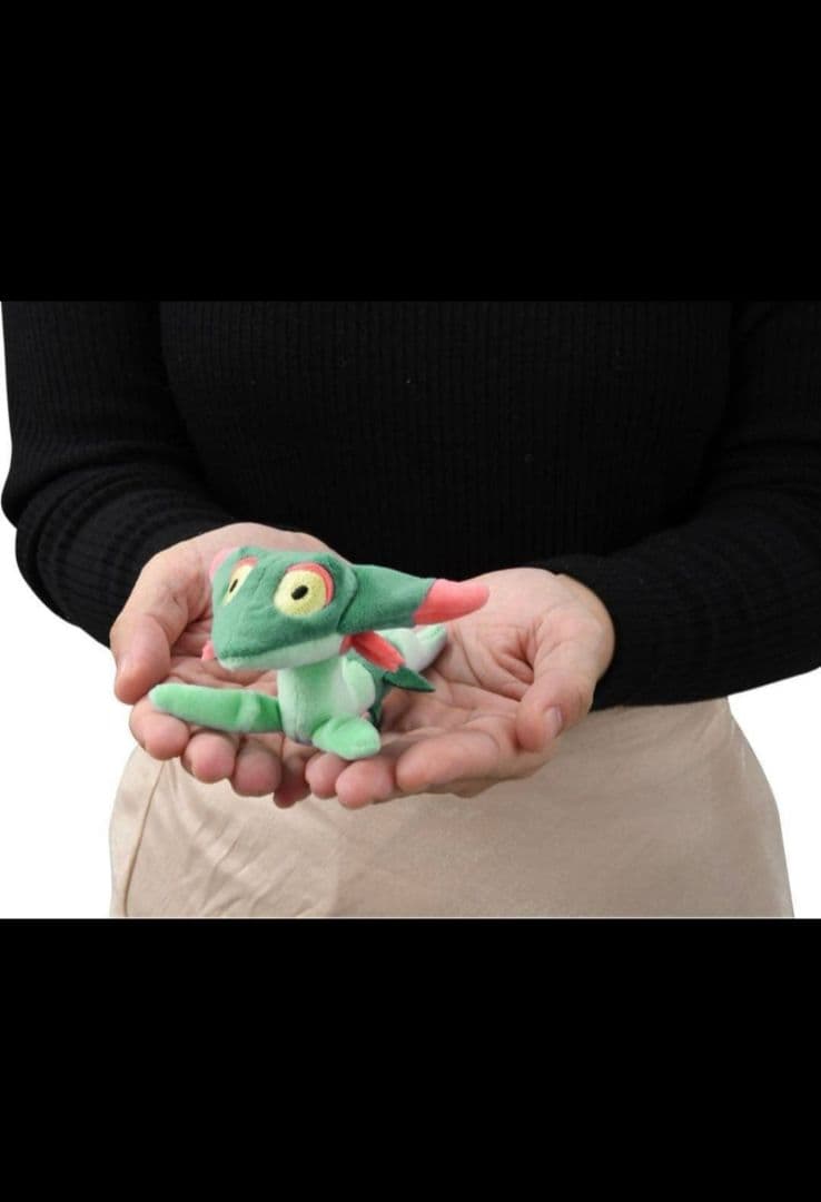 ドでか！ドラパルト 増量ドラメシヤ10体 ポケモン タカラトミーモール限定