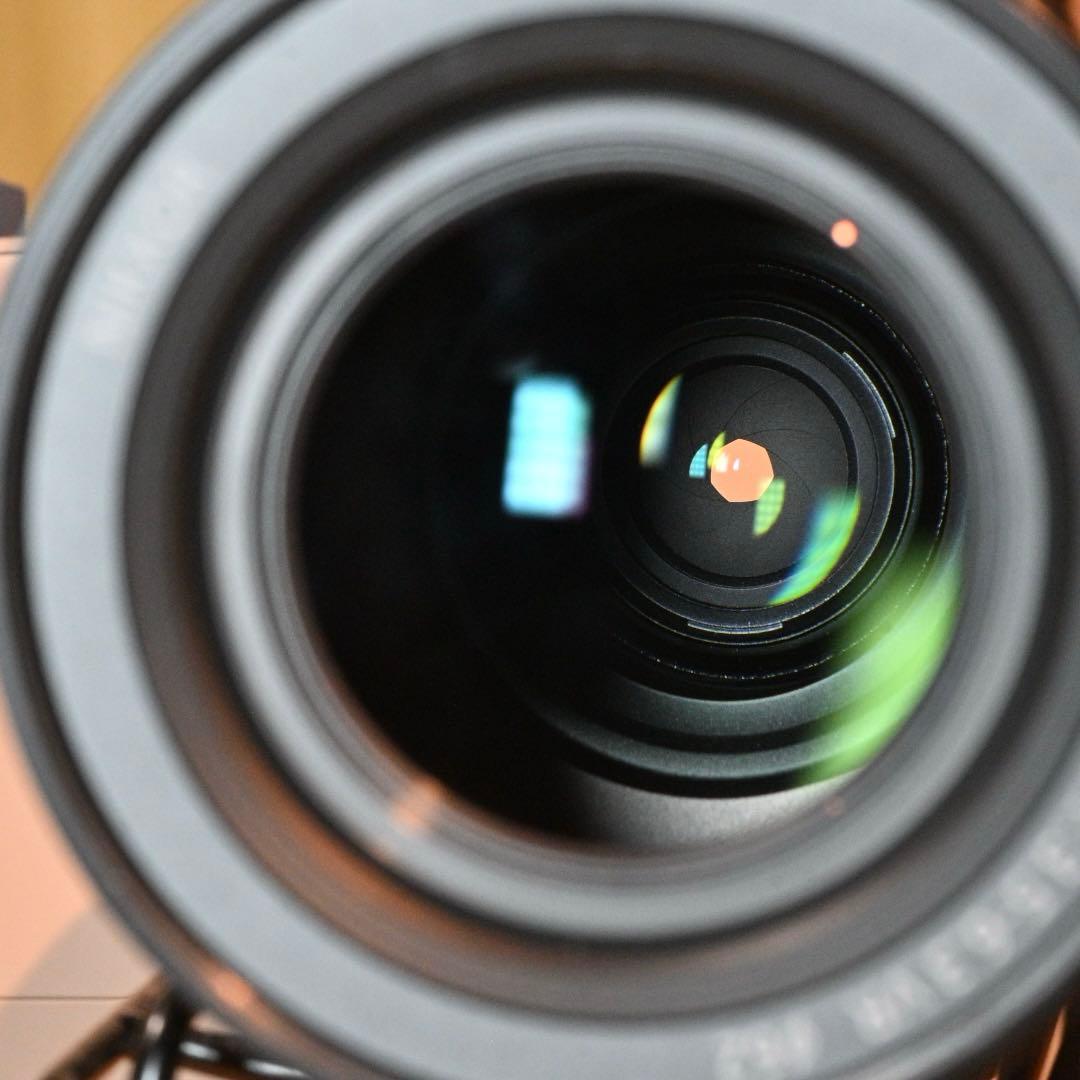 その他 NIKKOR Z DX 18-140mm f/3.5-6.3 VR