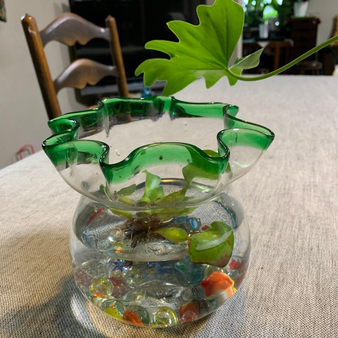 大正レトロ 金魚鉢 極美品 吹きガラス 上級品