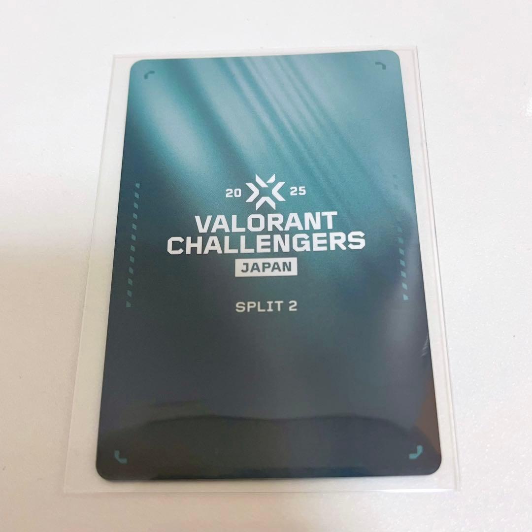 FENNEL neth VALORANT プレイヤーカード VCJ