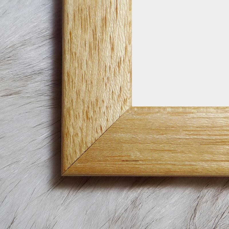 額装済/Interieur Villa/フランシス ジュールダン