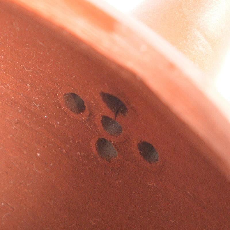 中国　紫砂　朱泥　急須　茶壷　在銘　V　R5600