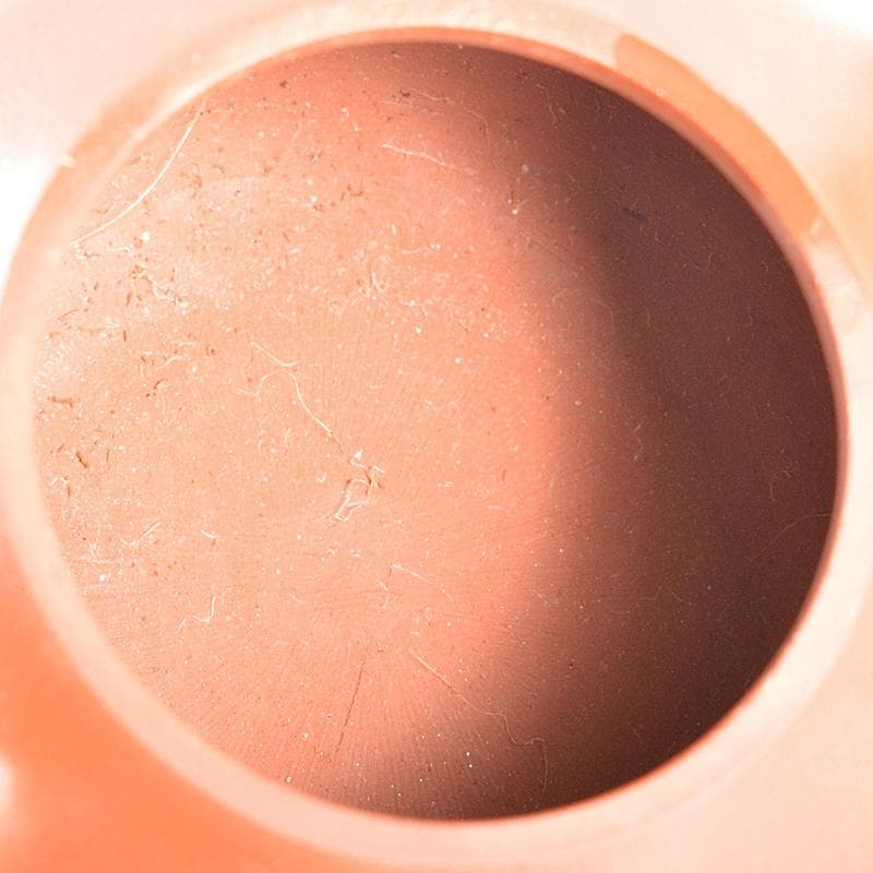 中国　紫砂　朱泥　急須　茶壷　在銘　V　R5600