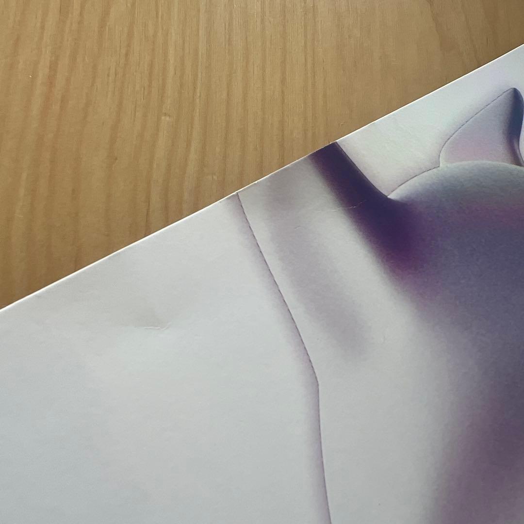 未開封！　ミュウツーの逆襲EVOLUTION パンフレット