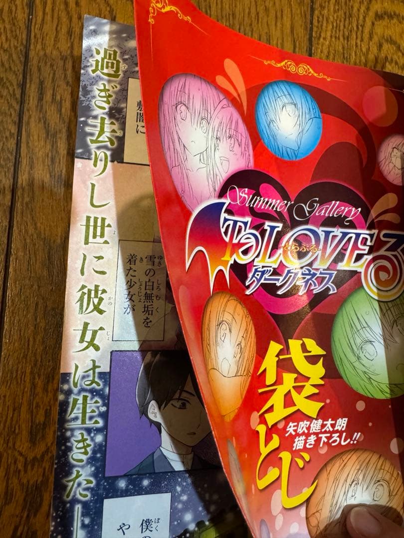 ジャンプSQ、ジャンプSQ1 To LOVEる -とらぶる- ダークネス