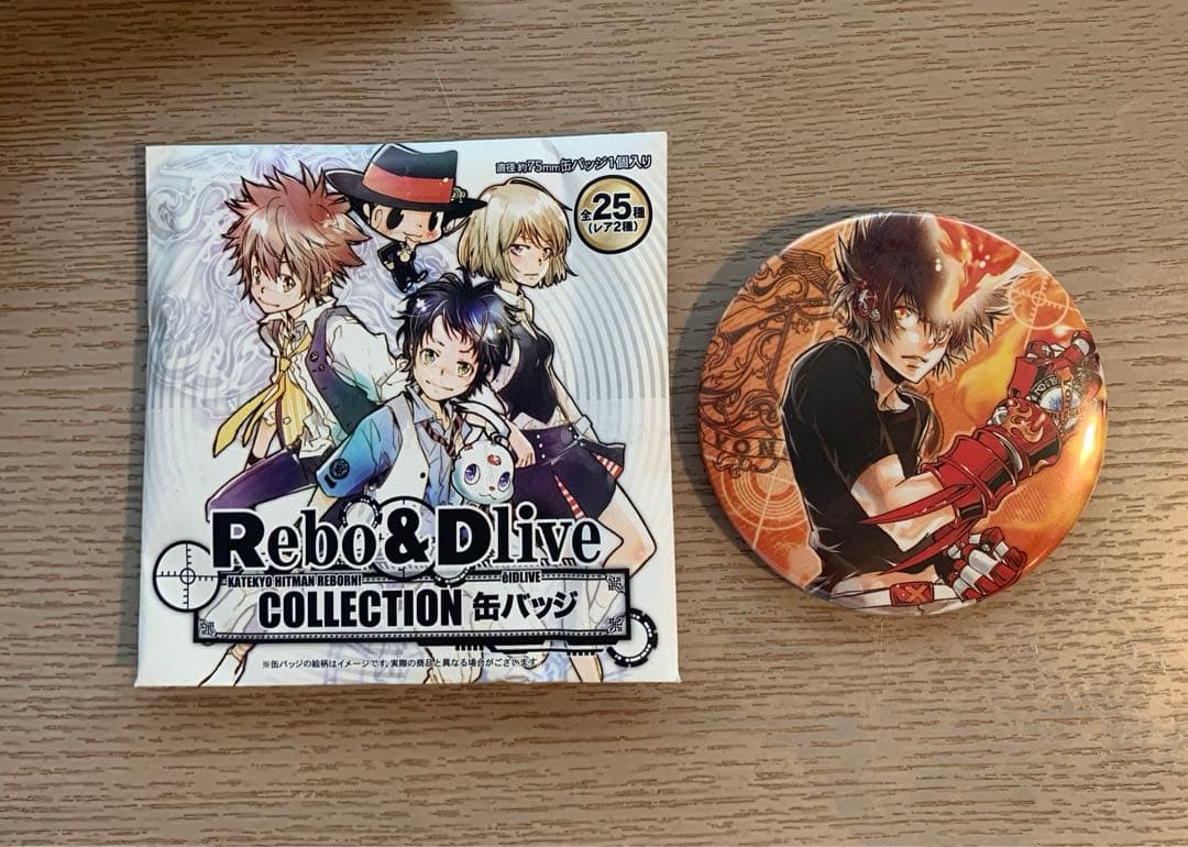 Rebo＆Dlive COLLECTION 缶バッジリボーン沢田