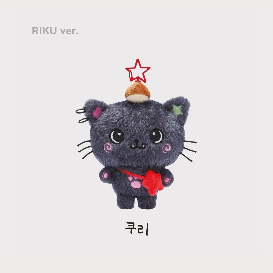 未開封 nctwish steady wish doll リク クリ ぬいぐるみ nctwish wish