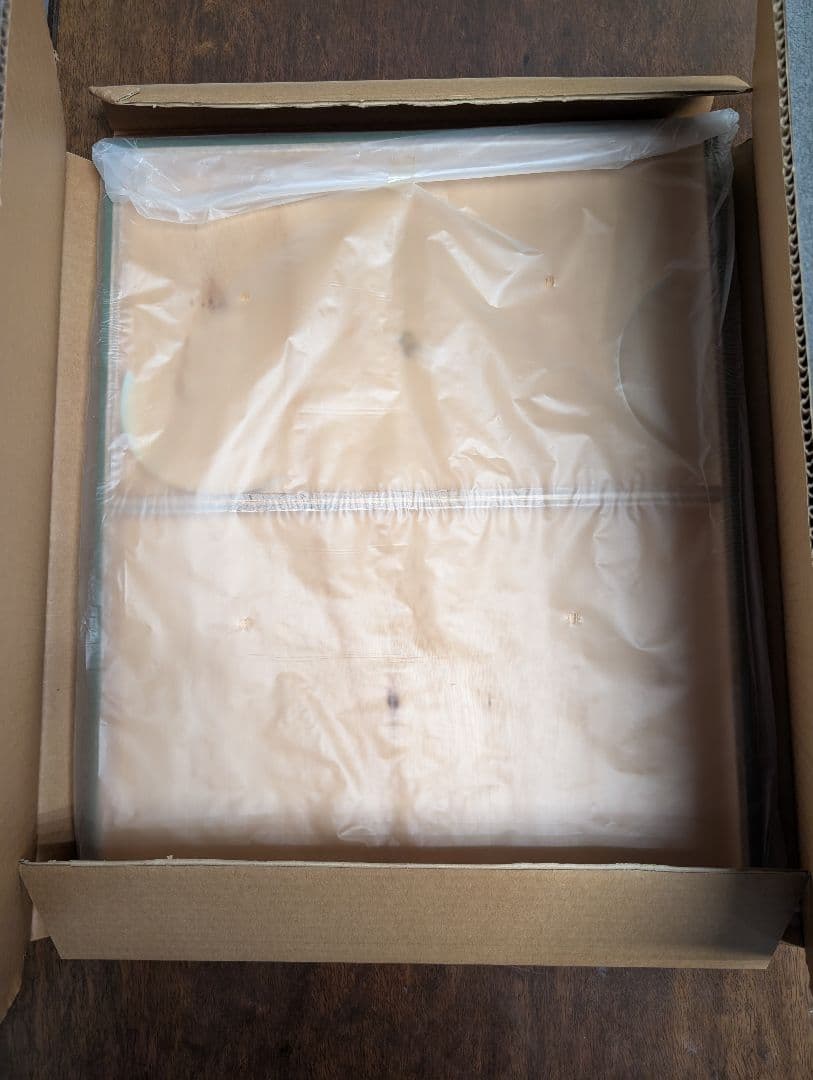 スペシャルウィーク　ジャパンカップ　パネル競馬ブック