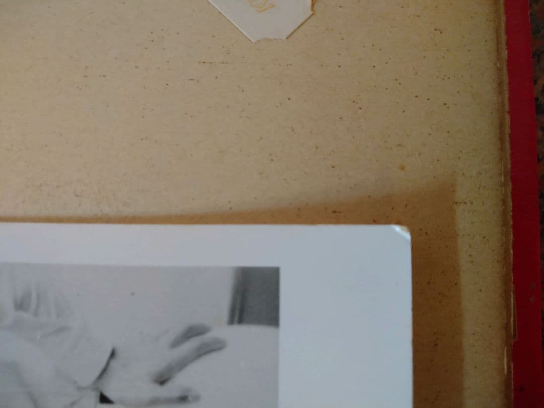 激レア！ザ・タイガース、沢田研二の生写真2枚