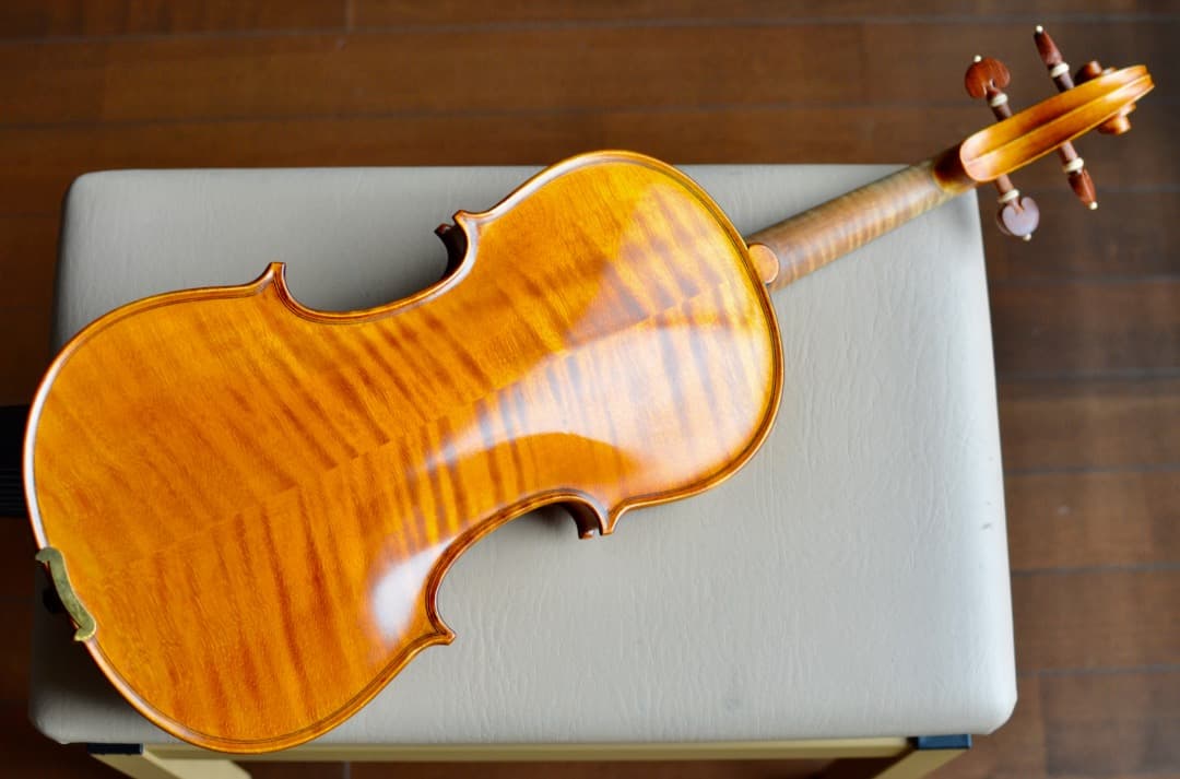 【カスタム美品】Gliga GEMS1 4/4 バイオリン セット