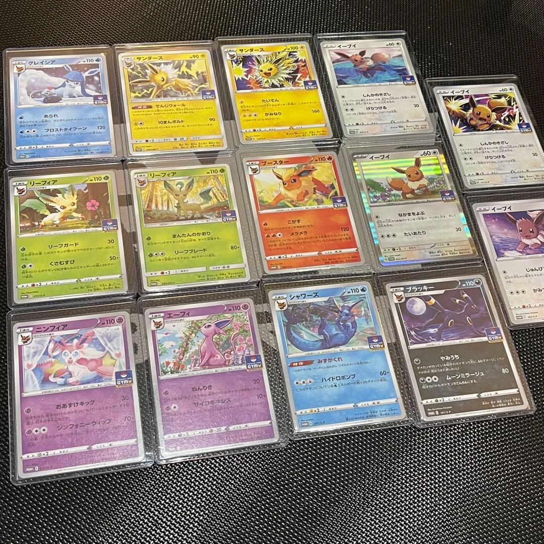 イーブイ進化ライン GYMカードプロモ 14枚セット
