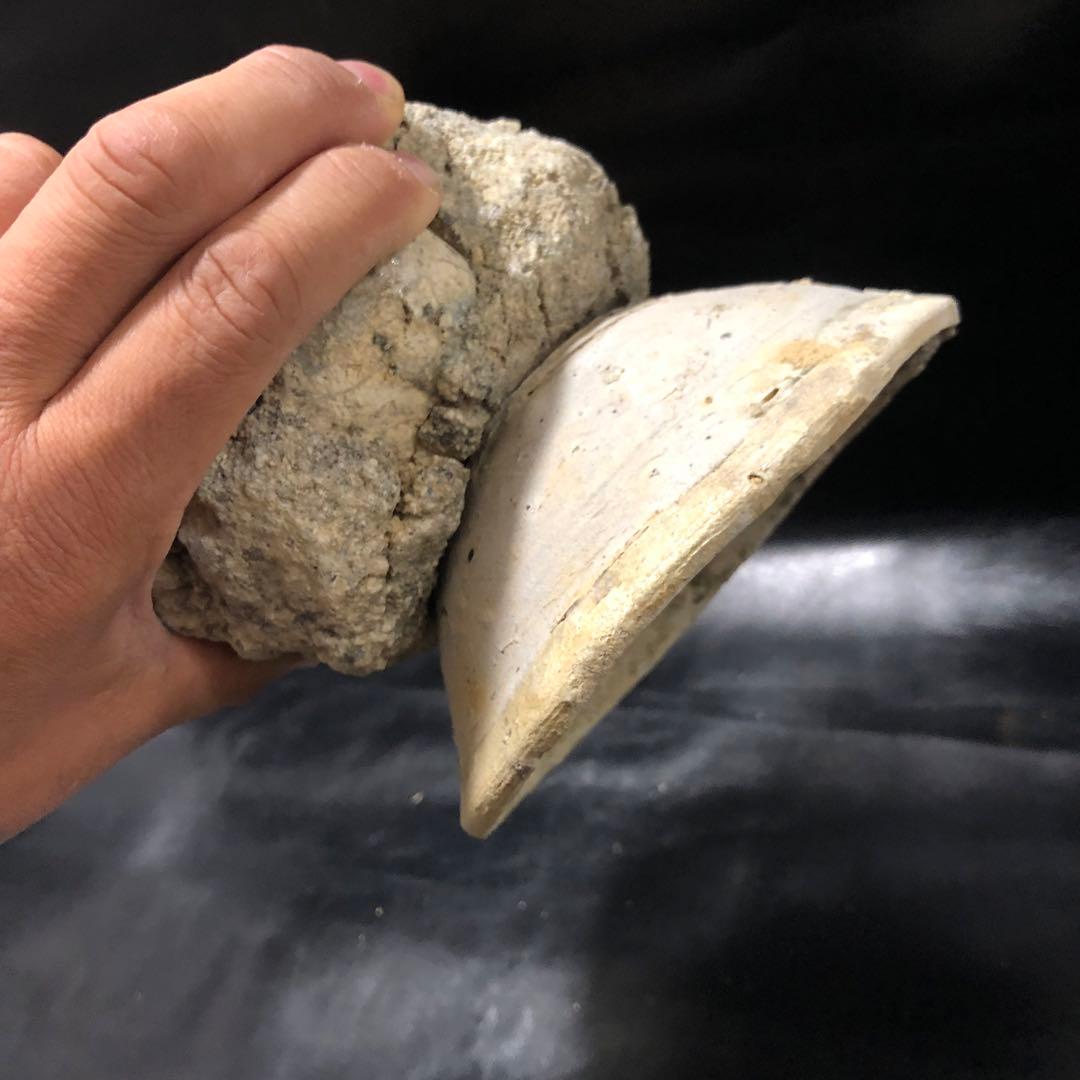 超珍品◾️蔵から超激レアな素焼きの台座が残った雰囲気