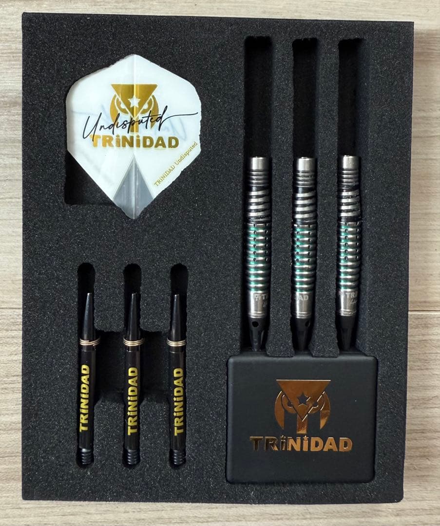 TRiNiDAD RICARDO LOPEZ リカルド ロペス 浅田斉吾 モデル