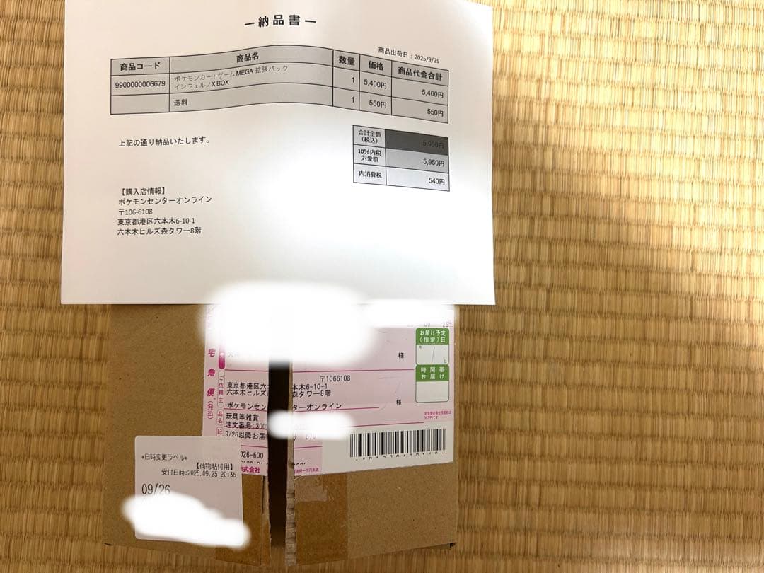 ⭐︎wawawa⭐︎ メガリザードンX ex SAR