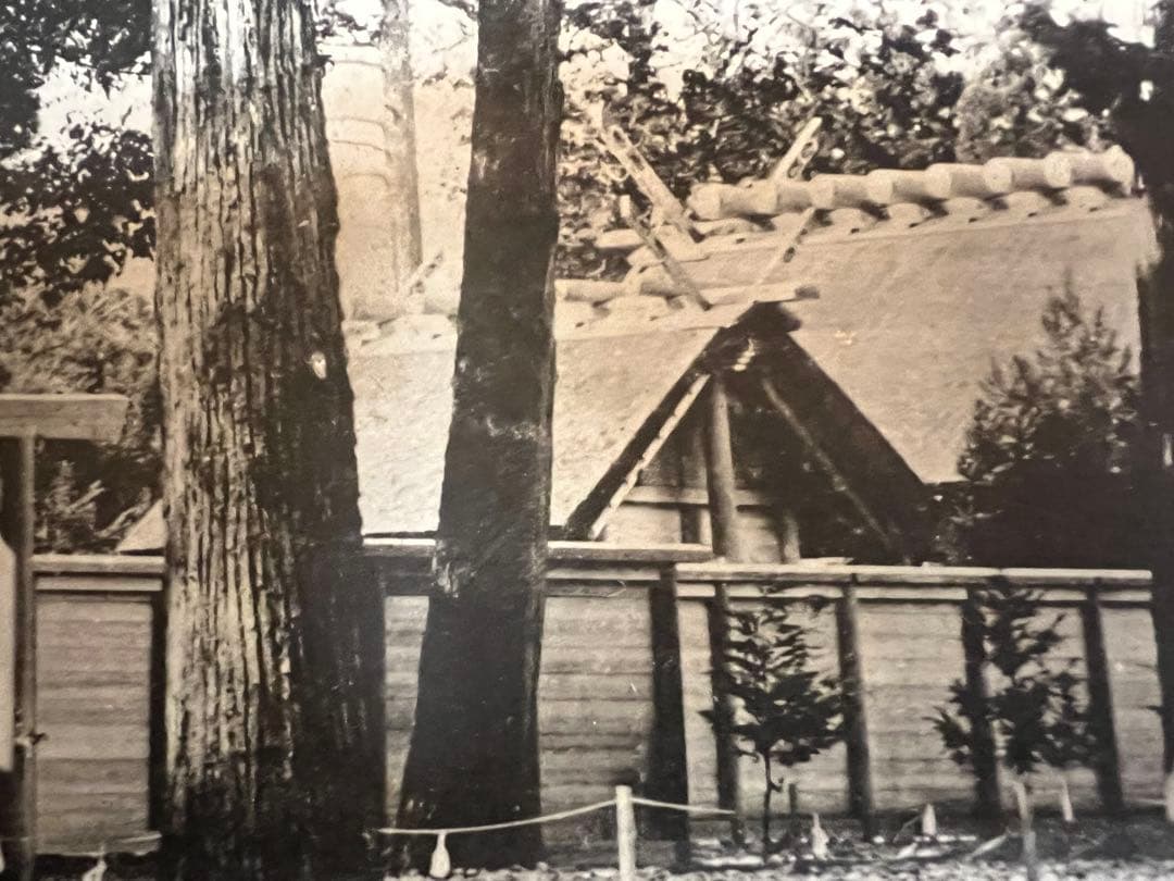 明治〜大正時代 非売品 内務省公式写真 菊花紋章 神社境内 戦前資料 アート