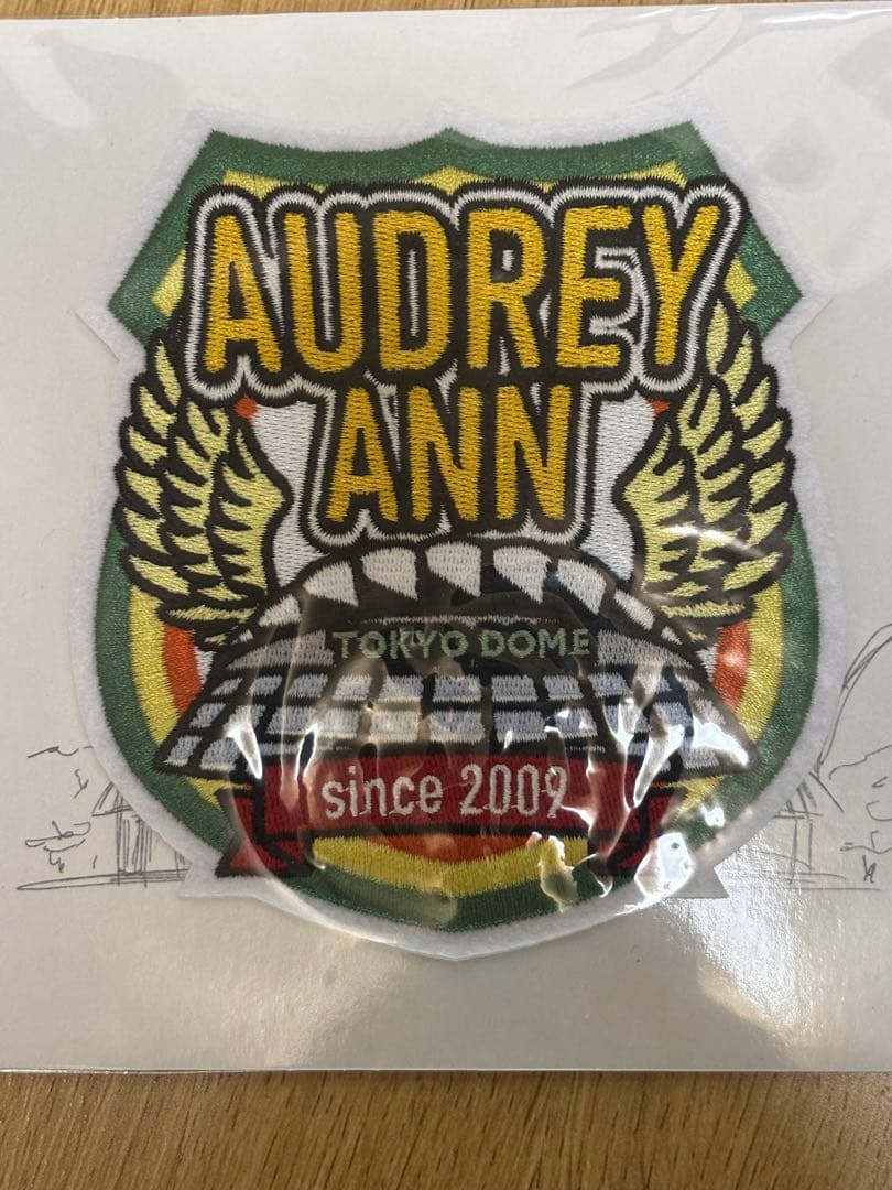 オードリーのオールナイトニッポンin東京ドーム　スタジャン 黒XL、ワッペン３つ