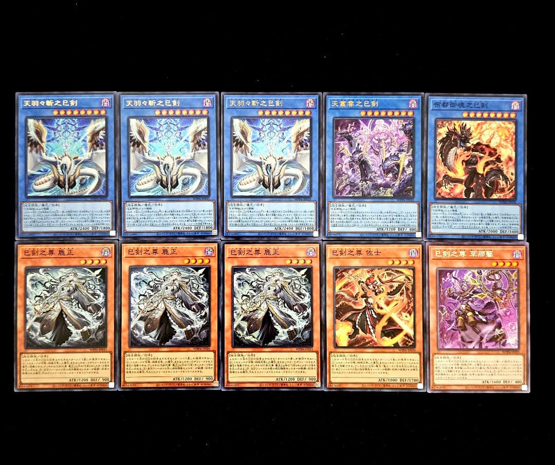 遊戯王 【本格構築‼️】巳剣 ライゼオル 構築済みデッキ‼️ 大会 下準備