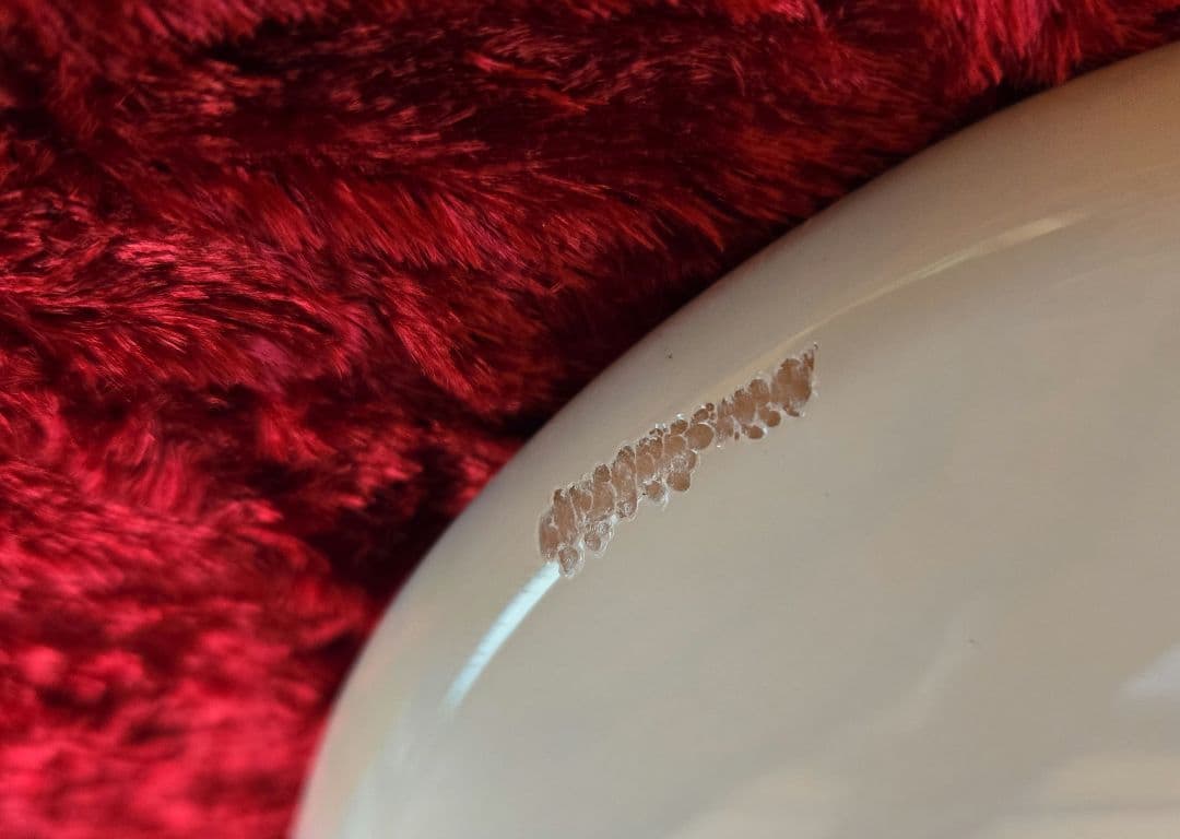 フェンダー　American　Original50s　　WhiteBlonde