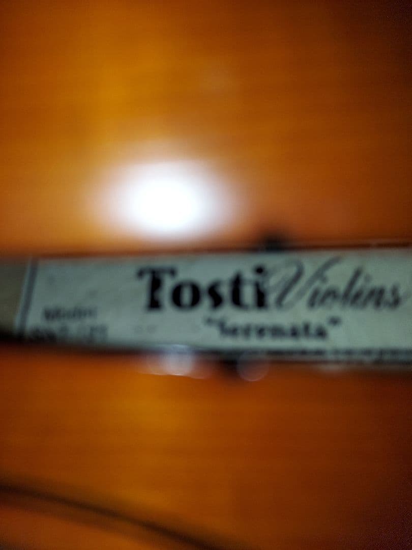 Tosti SNT-101 バイオリン Serenata 4/4サイズ