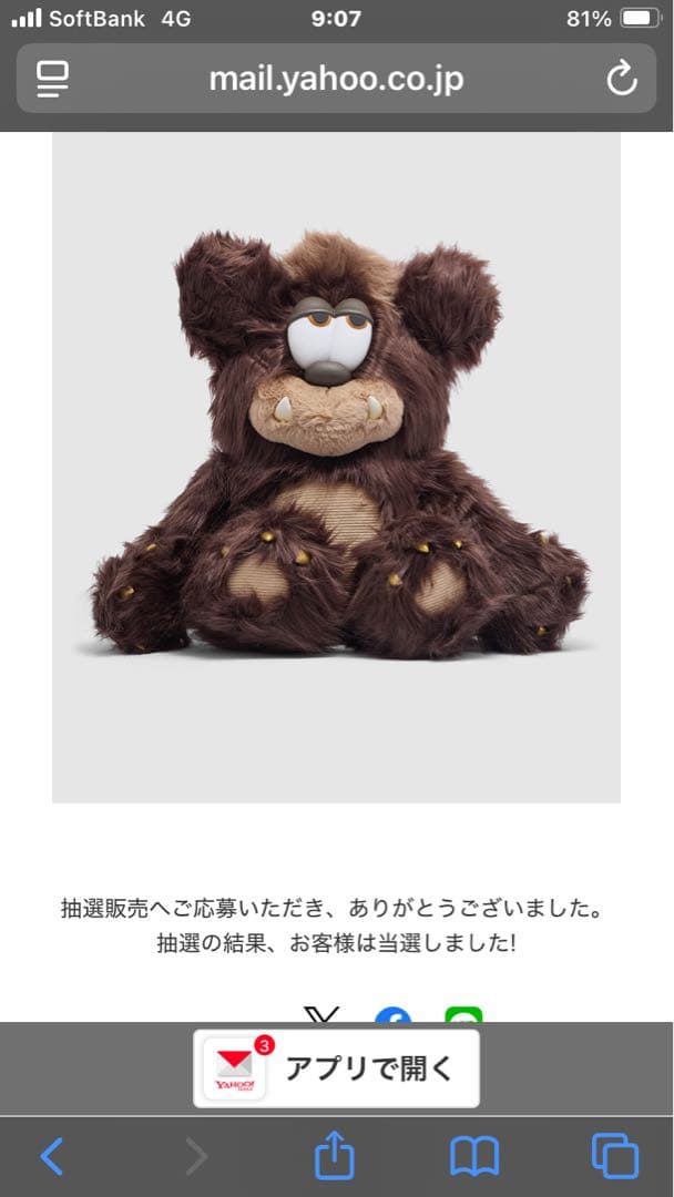 抽選限定販売品！ verdy VISTY PLUSH TOY 【BROWN】 - メルカリ