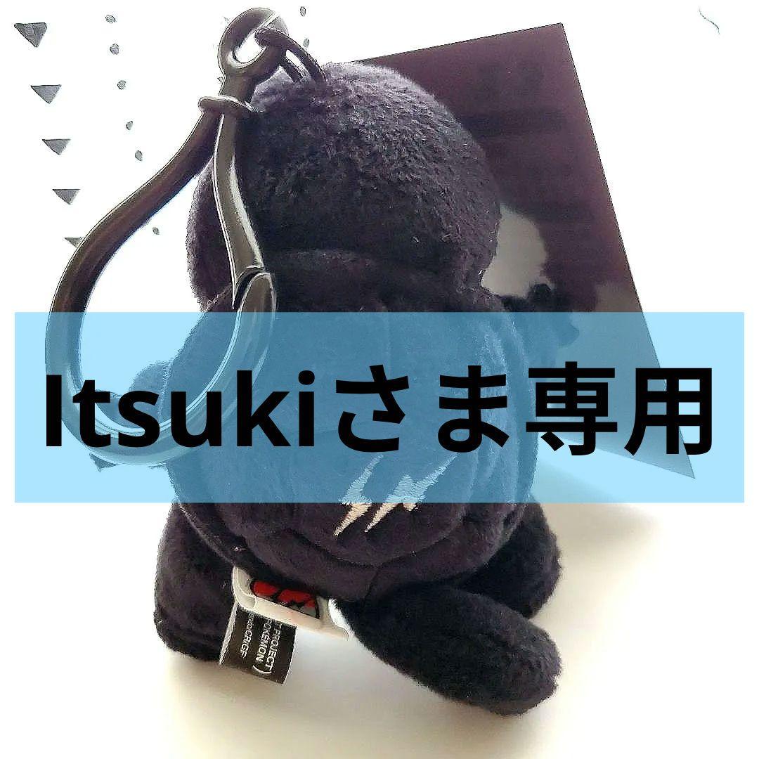 公式サイト購入 ゼニガメ ポケモン