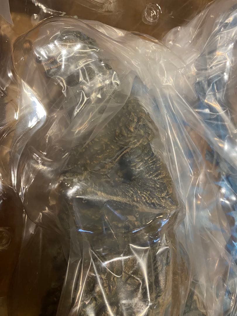 【少年リック限定版】東宝30cmシリーズ ゴジラ(2023) ゴジラ -1.0