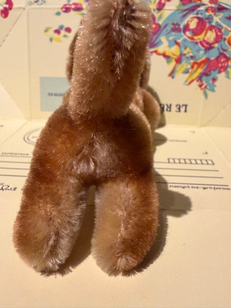 ベルリン購入 超美品シュタイフ 1950年代のダックスフンド グラスアイ