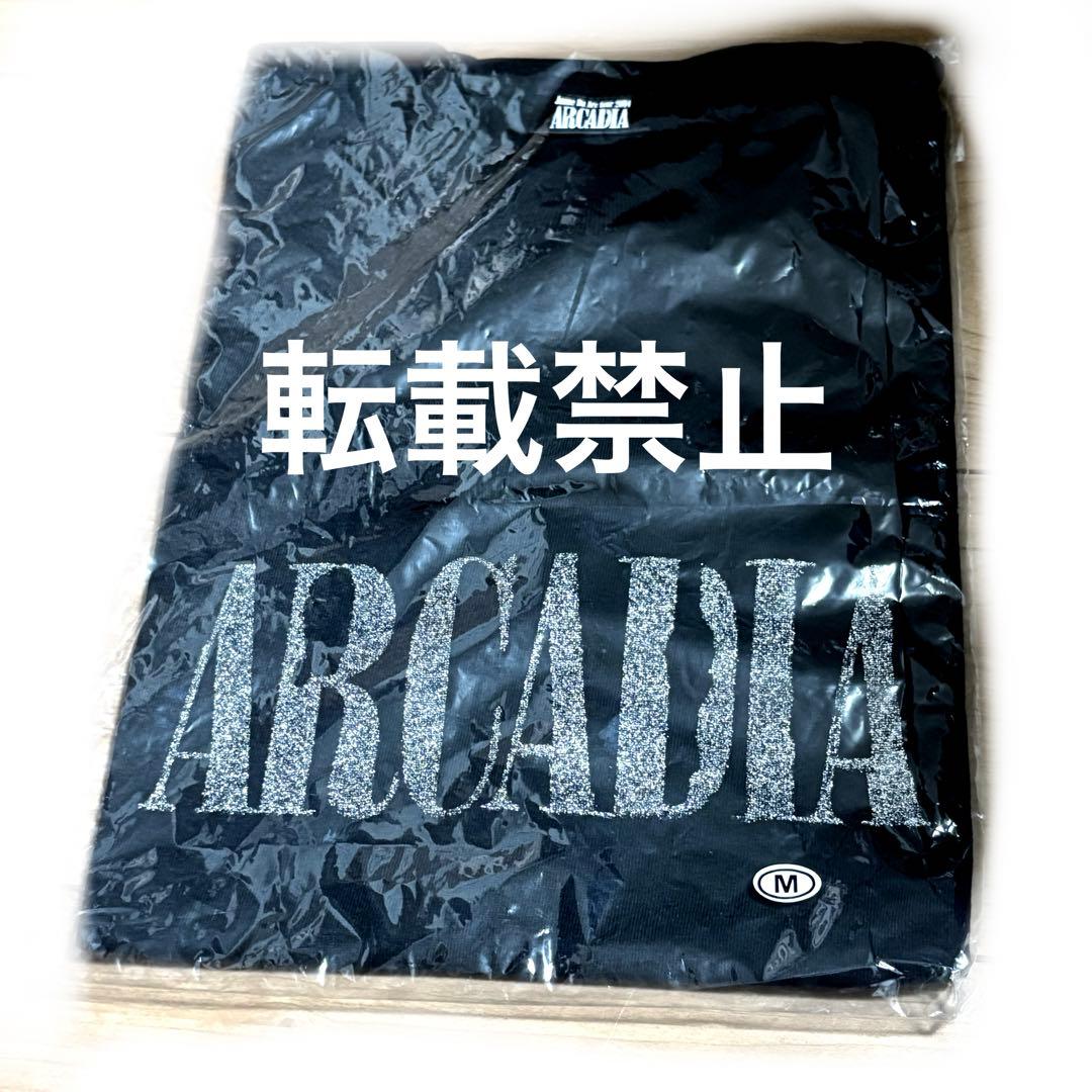 年末セール！未開封 JanneDaArc ARCADIA Tシャツ 美品 Janne Da Arc tour 2004 ARCADIA Tシャツ - メルカリ