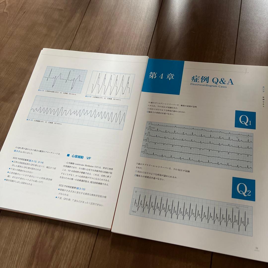 裁断済み】犬と猫のECGトレーニングブック 心電図 循環器 犬と猫の