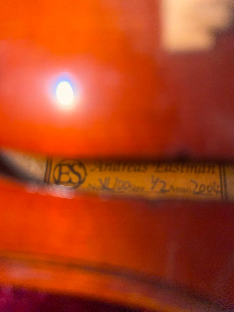 Eastman イーストマン　VL100 1/2 2004年製