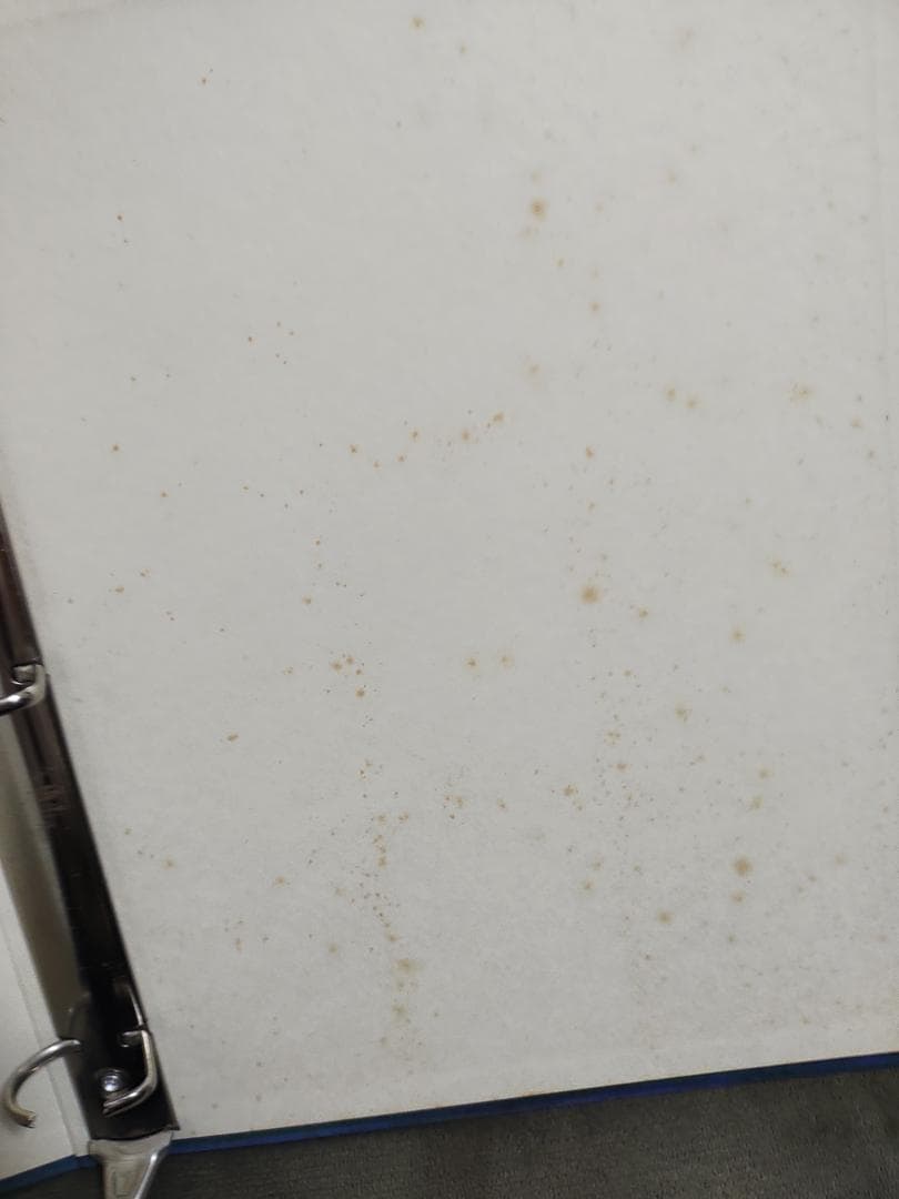 ☆２０２枚　逮捕しちゃうぞ　バインダー＋トレーディングカード　まとめて