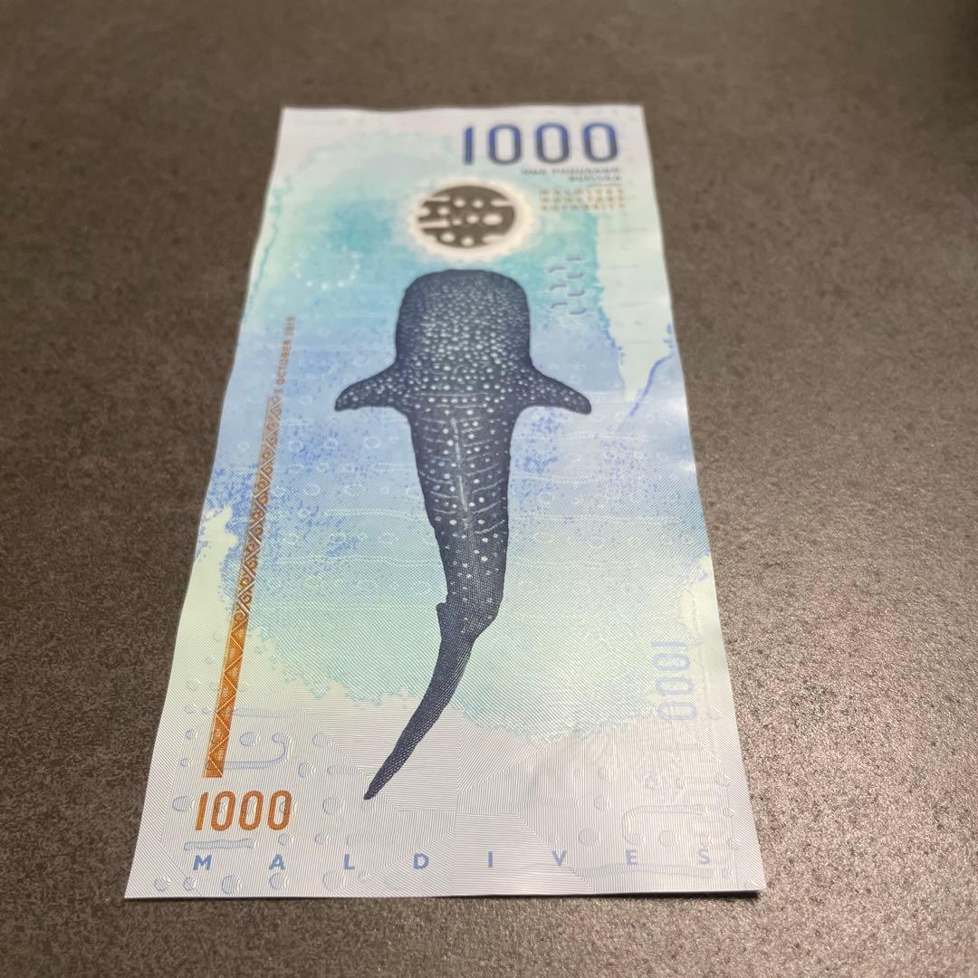 モルディブ 1000ルフィア（MVR）紙幣（海亀・ジンベイザメ