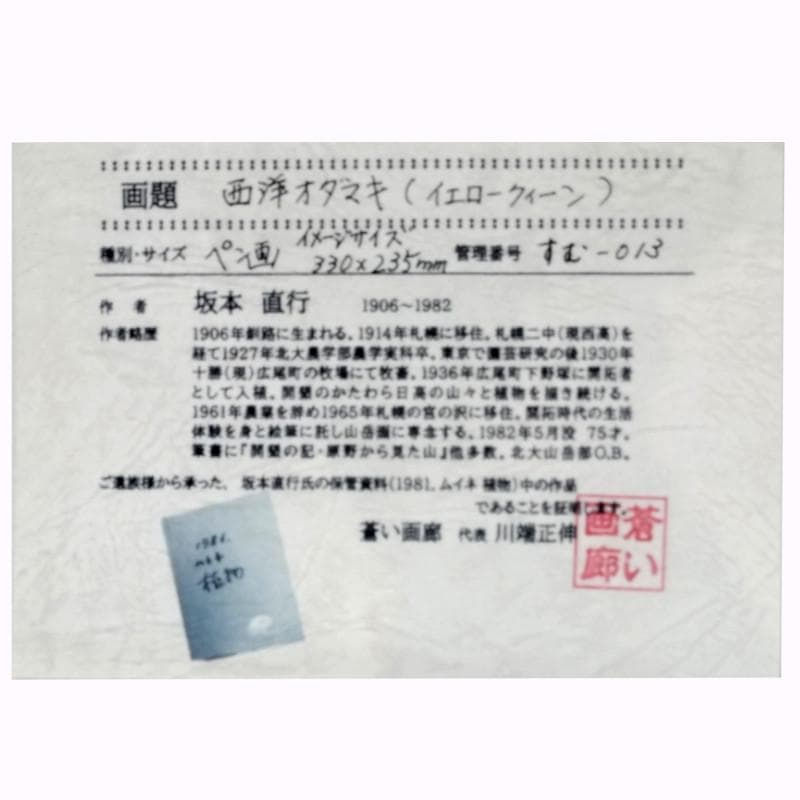 ☆坂本直行☆「 西洋オダマキ（イェロークイーン）」ペン画　大衣　未使用！
