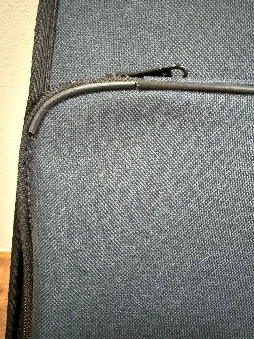 【美品】 Carlo giordano バイオリン VS-0 4/4