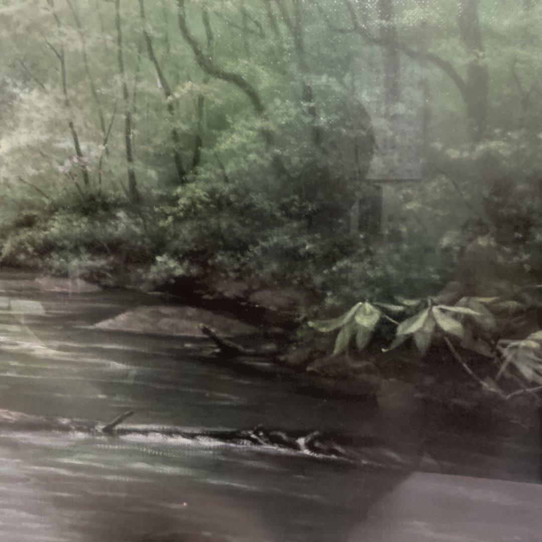 秀ちゃんさん専用　向山一石　（もいやまいつせき）　春光に憩う　「奥入瀬」　F6