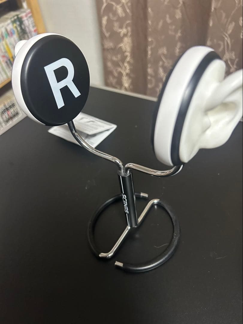 Roland CS-10EM バイノーラルマイク　（ローランド）