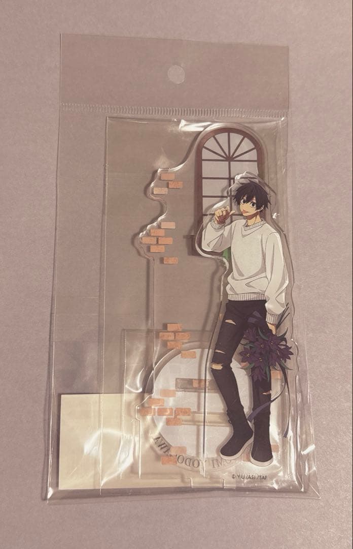 桃源暗鬼 オーロラBIG缶バッジ 全5種セット GIGO限定 新規描き起こしの